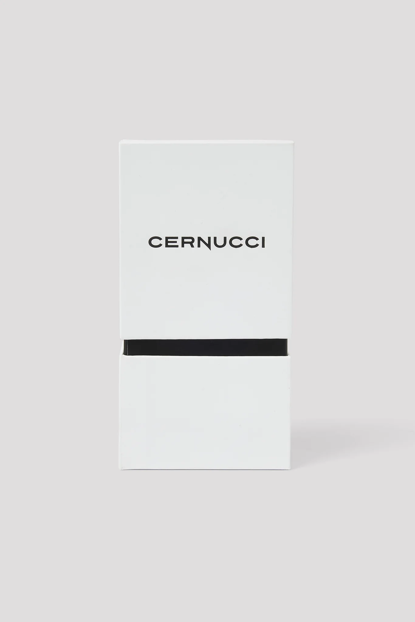 Cernucci Jewellery Cleaning Kit - Image 3