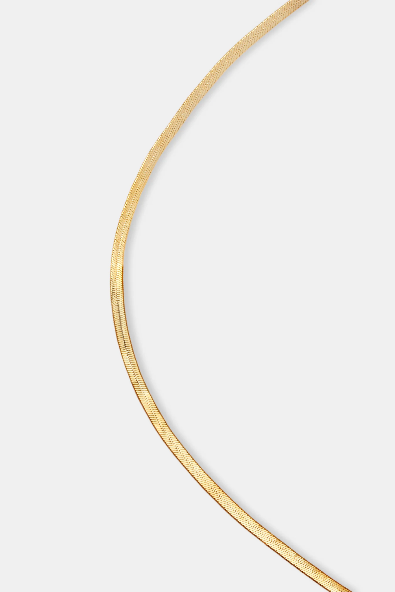 Flat Snake Belly Chain - Gold - Image 2
