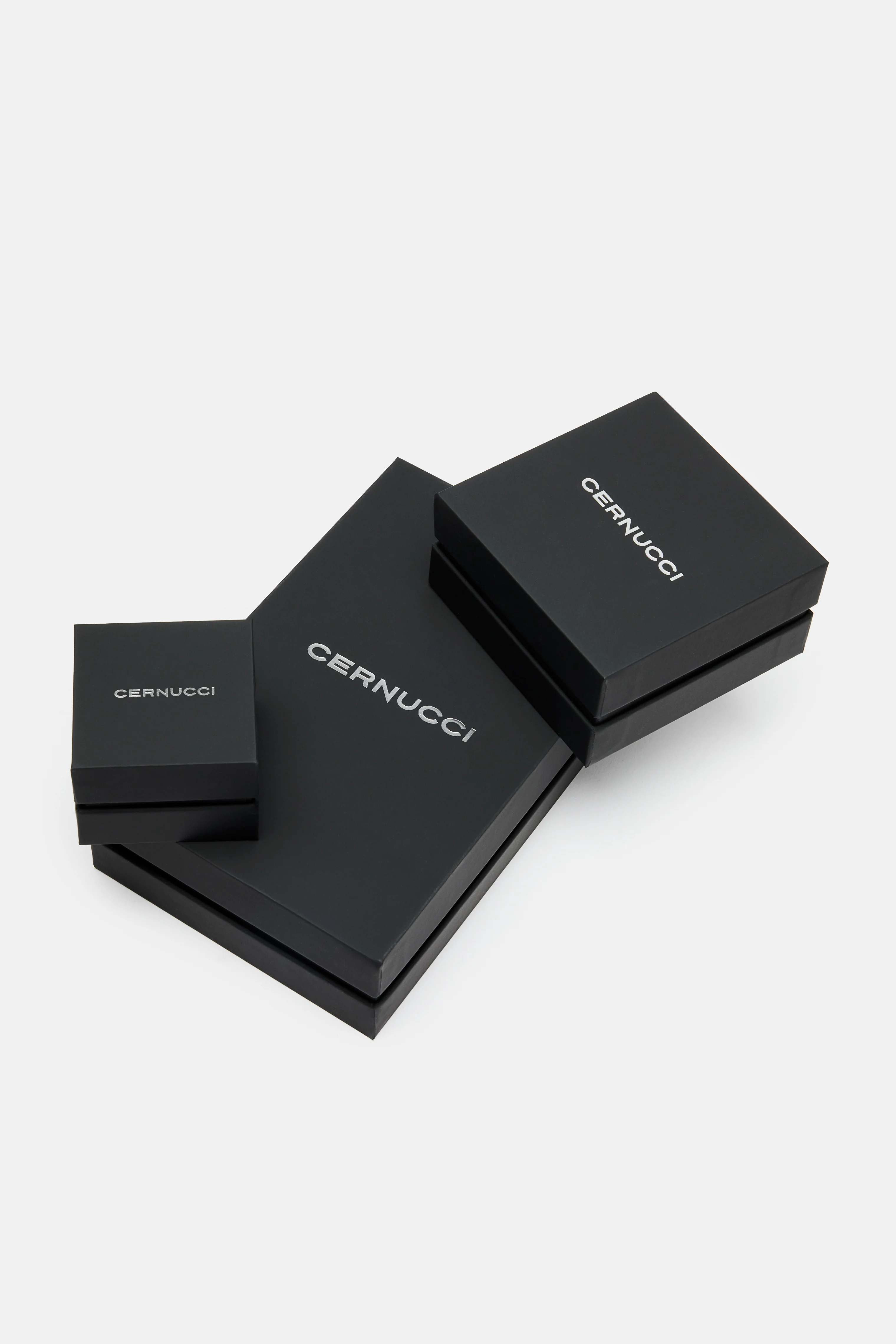 MEDIUM PREMIUM CERNUCCI BOX - Image 4